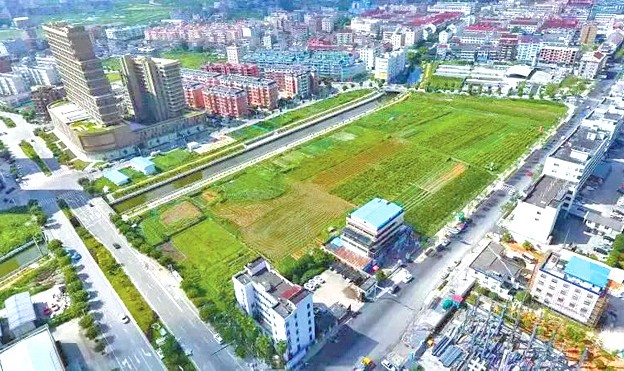 摩根体育官网- 第戎市政府通过土地置换方案，筹建现代化训练中心  